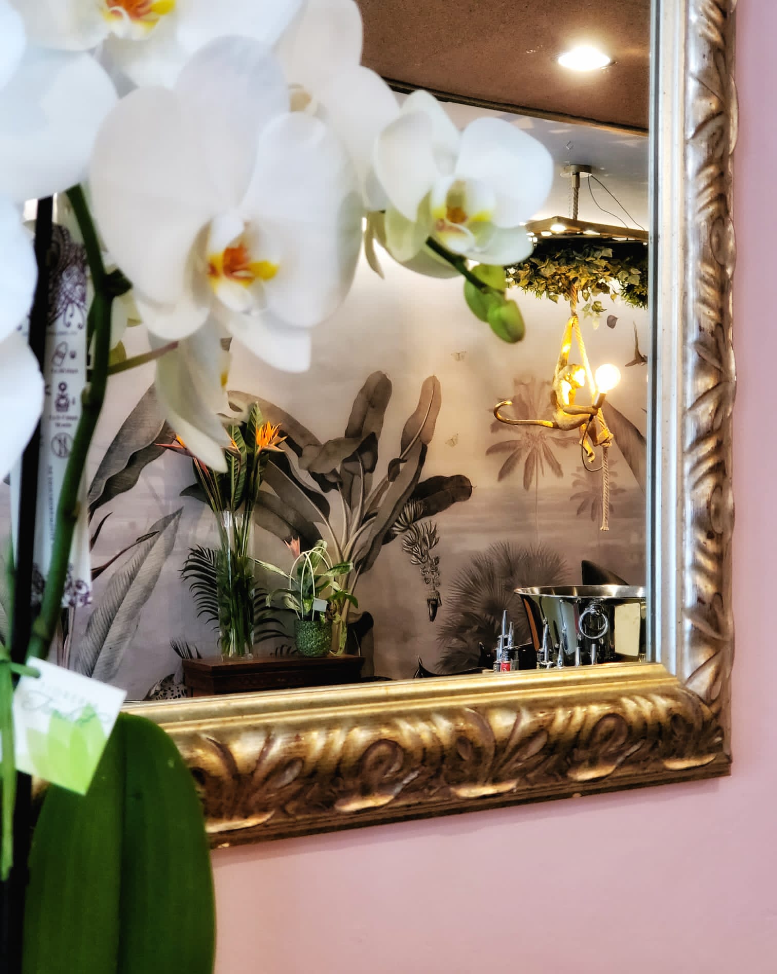 Interno del locale PAB